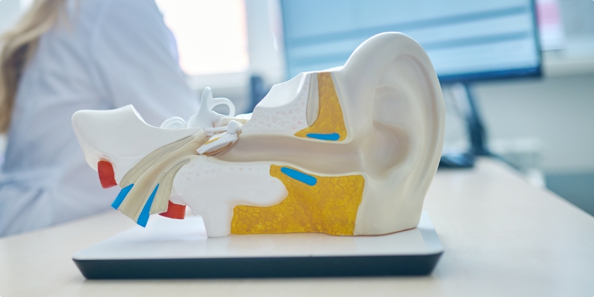 Absolute Hearing Care Centers Blog